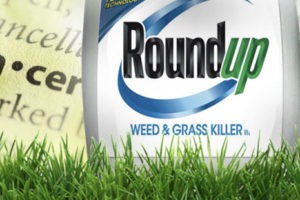 Unanimous Jury – Roundup Causes Cancer
