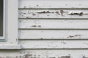 Lead Poisoning Remains a Major Concern for America’s Most Vulnerable Inhabitants