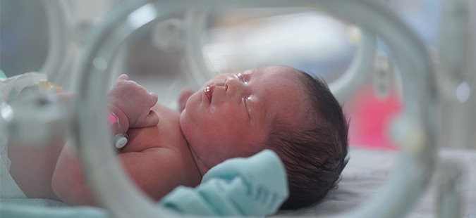 Baby Formula Linked to Increased Risk for NEC in Premature Infants